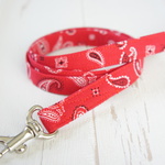 【sale】小型犬★ペイズリー★リード