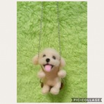 ブランコ プードルちゃん  