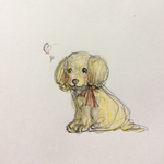 Aki様専用ページ