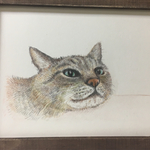 キジトラ
