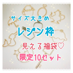 【合計14点】 サイズ大きめレジン枠福袋（レジン練習用）f05