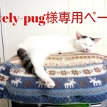 Lovely-pug様専用ページ