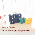 お客様ご依頼商品です‎٭¨̮ minimini trunk  8.5cm 4.5cmcm set 