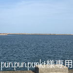 pun.pun.punkt様専用 
