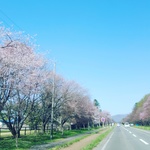mimurane様専用ページ