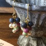 鈴なりブルーベリーのピアス（イヤリング）