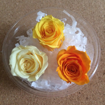 プリザーブドフラワー 薔薇3輪