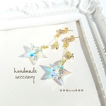 再×2＊ご褒美に✨美しく輝く星形スワロピアス