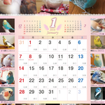 2018年 鳥づくし壁掛けカレンダー（予約注文）