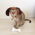 猫帽子❁ニャックスフンド