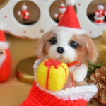 シーズーちゃんのクリスマス