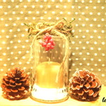 Glass bottle01