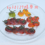 ket0127様専用 押し野菜 押しフルーツ 押し花 セット