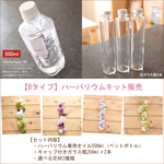 【6％OFF】【Bタイプ】ハーバリウムお試しキット（オイル、ガラス瓶2本、花材セット2種類）