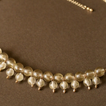 champagne［シャンパーニュ］ 