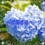 『sakiさん専用ページ』