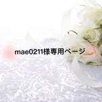 mae0211様専用ページ