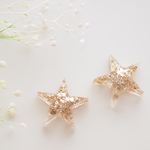 輝く星屑♡　ピアス/樹脂ノンホールピアス（イヤリング）
