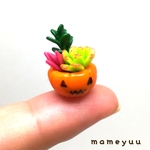 【🎃ハロウィン🎃】カボチャの鉢植えに多肉ちゃん⑪
