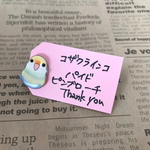 可愛いインコのピンブローチ✨