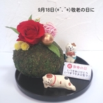 敬老の日☆プリザーブドフラワー☆まったり猫