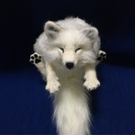 ケロり様オーダー作品 白キツネのポケットティッシュケース