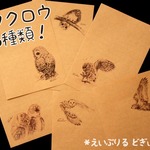 【ミニレター】ふくろう 鉛筆画シリーズ 6種30枚入
