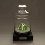 バフンウニ 骨格標本 LEDランプ ライト B001