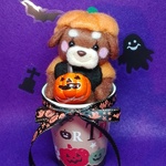 🎃カボチャの帽子、可愛いっしょ🌼