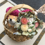 わんっ！