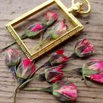 押し花【mini薔薇つぼみ15個】ピンク