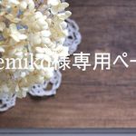 eemiko様専用ご注文ページ