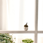 どんぐりのお家  小