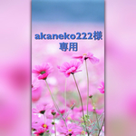 押し花＊akaneko222様専用