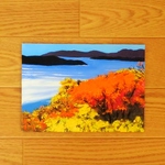 油絵原画『紅葉と海』　額縁付き