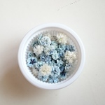 blueviolet24様 専用