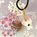 跳・桜狐様のチャーム♪