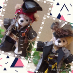 ☆*:.｡. c様専用ページ☆*:.｡. 