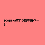専用ページ