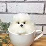 羊毛フェルト ティーカップポメ ポメラニアン   白ポメ