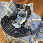 犬用首輪&リードセット