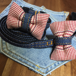 犬用首輪&リードセット