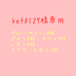 ket0127様専用 押しフルーツ 押し花 セット