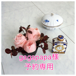 予約専用サボテン・食虫植物・ハエ