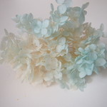 【単品】紫陽花プリザーブドフラワー 「アナベルソーダフロート」