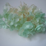 【単品】紫陽花プリザーブドフラワー「アナベルミントフロート」