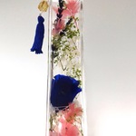 ハーバリウム 〜 フローラの魔法の花 〜