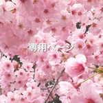 n様専用ページ