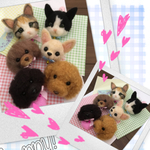 jun様専用 羊毛フェルトストラップ