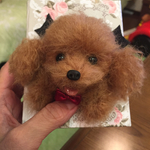 kuu0803様御予約品ウチの子ブローチ